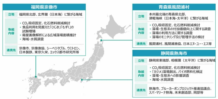 環境省、海藻のバイオ燃料化実証など 熱海市等3地域でブルーカーボン重点調査