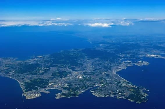 神奈川県、三浦半島のブルーカーボンへの理解を深めるイベントを開催