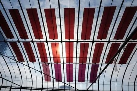 大阪大、農業用ハウスに有機太陽電池設置搭載 実用性を検証