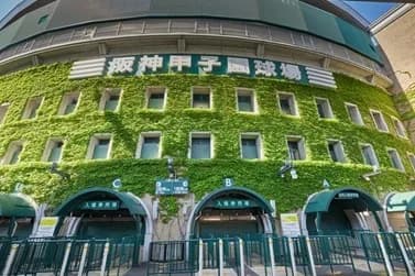スタジアムで全国初、甲子園が再エネ100%実現 コーポレートPPA活用