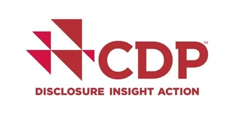 約半数の企業が再エネを未使用、大企業は7割近く CDP最新調査で判明
