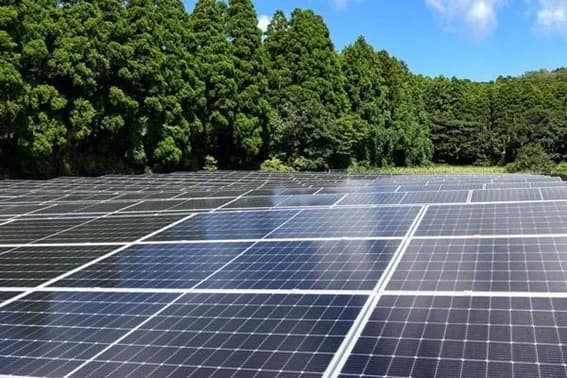 ヤンマー、国内最大規模のバーチャルPPA導入 150MWの太陽光