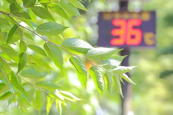 「今年の天気を表す漢字」は3年連続で「暑」 長く続いた暑さが影響