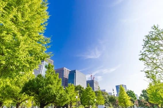 国交省、都市の緑地保全で基本方針公表 気候変動対策・生物多様性の確保へ