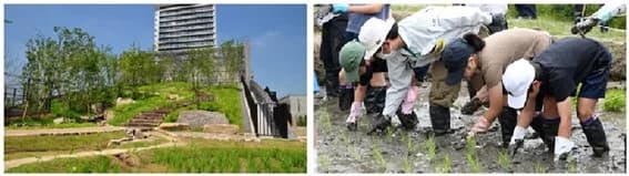 第5回グリーンインフラ大賞、「雨庭」の普及・実証事業等に国土交通大臣賞