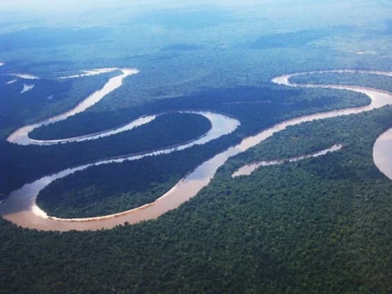 COP30はブラジルで アマゾン森林破壊、世界の気候変動どう対応