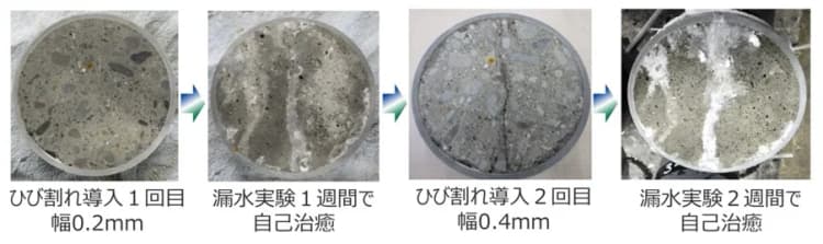 ひび割れを自己治癒するバイオマスコンクリ開発に進展 安藤ハザマら発表