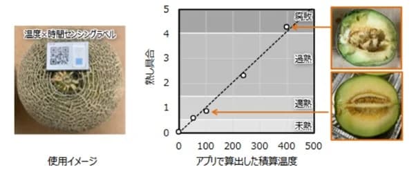 日立グループ、青果熟度可視化ソリューション実装に向け有償サンプル提供