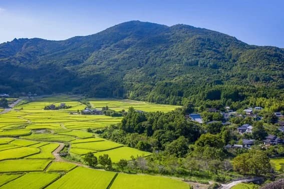 「自然共生サイト」、新たに75カ所認定 LNG基地や京都最古の神社など