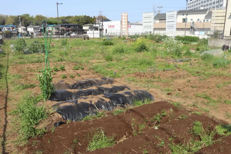 マイファーム、「宙炭」を活用したカーボンオフセット農園サービス開始