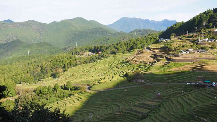 地方と都市が連携し「農山漁村」を再生 官民、金融機関など参画