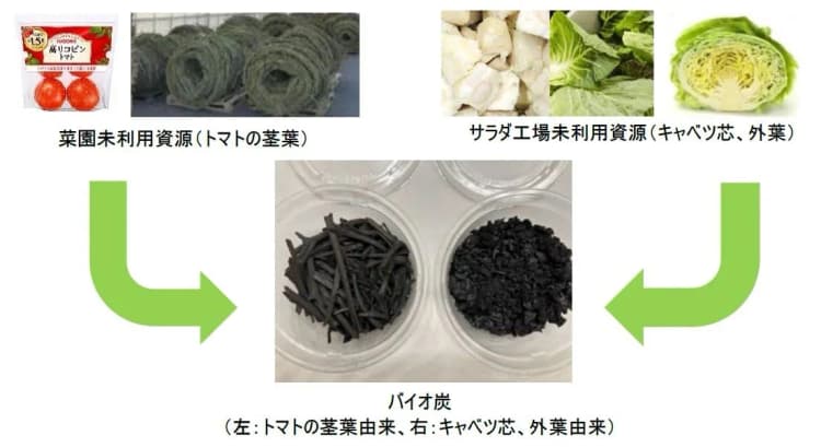 カゴメとキユーピー、未利用野菜のバイオ炭化で共同研究開始