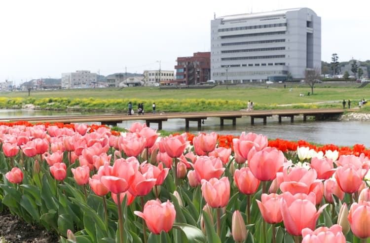 福岡県直方市と地域新電力、再エネ活用と脱炭素で連携協定を締結