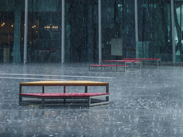 東京都、雨水流出抑制のグリーンインフラモデル施設を整備 事業者募集