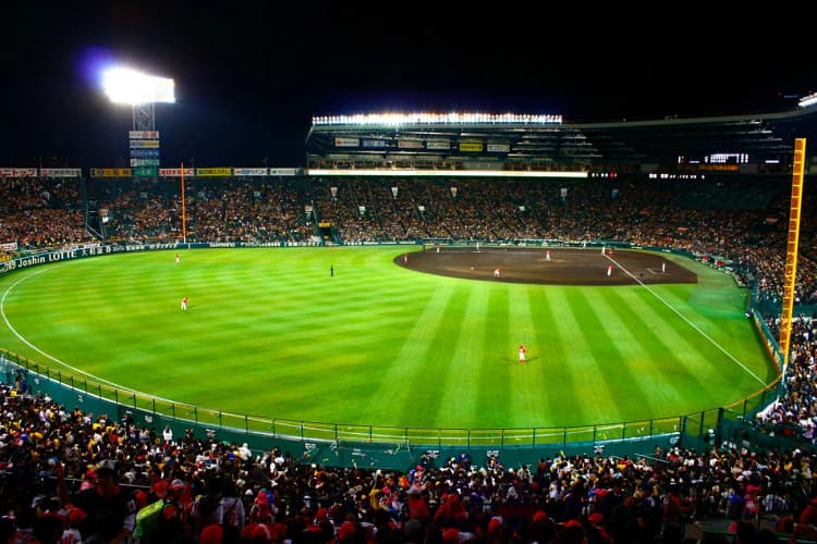 阪神タイガース、夏の9試合をカーボン・オフセット 200tのCO2削減