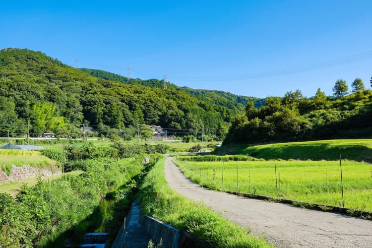 国交省、3市のグリーンインフラ実装を支援 里山の環境価値を見える化など