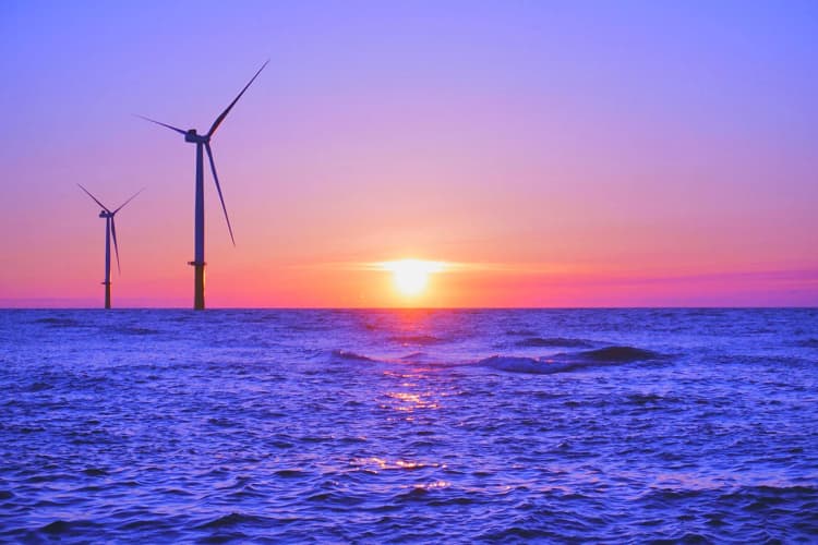 伊豆諸島の5区域が、洋上風力発電の「準備区域」に 経産省・国交省が発表