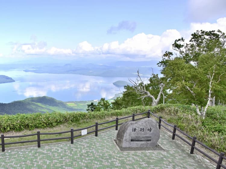 北海道津別町とソフトバンクグループ社、森林資源を活かしたCNで連携