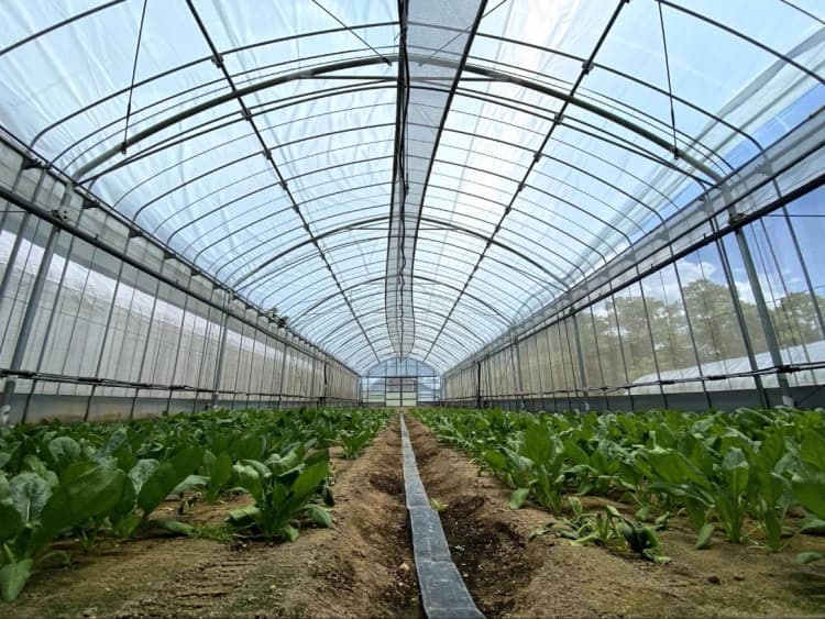 住友金属、遮熱効果の実証 太陽光を吸収する新素材「SOLAMENT」活用