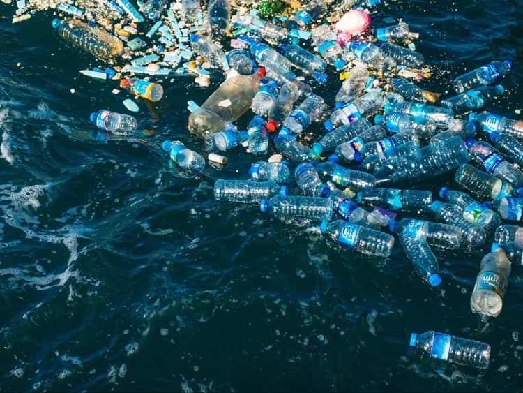 海洋マイクロプラ対策でシンポジウム開催、先進的な製品など展示者公募