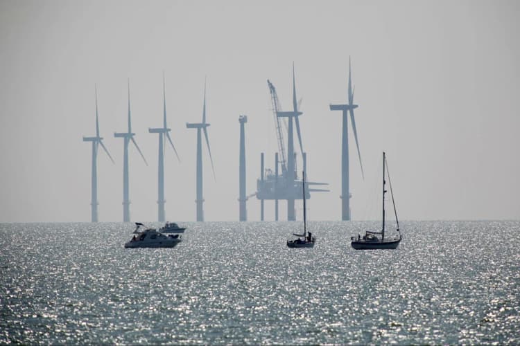洋上風力発電所の環境影響モニタリング、ガイドライン公表 環境省