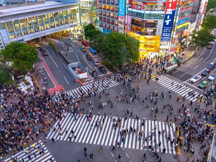 東急バス、渋谷駅周辺エリアで「自動運転小型EVバス」の走行試験へ