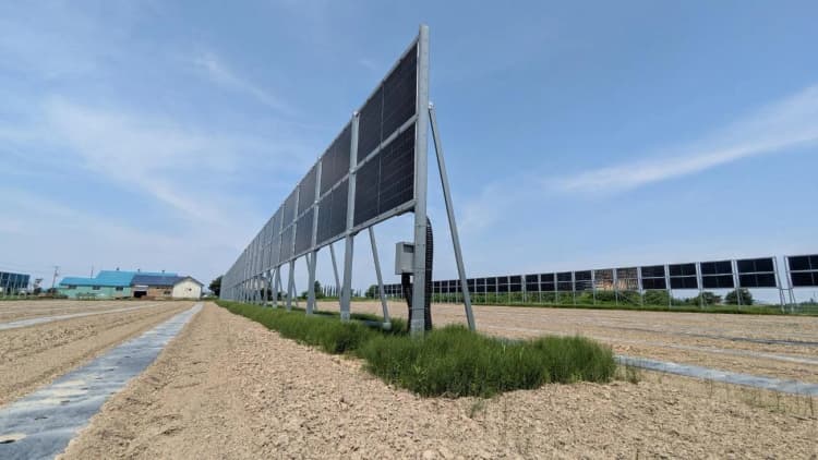 北海道豪雪地帯でソーラーシェアリング 垂直設置・両面発電パネルで課題解決