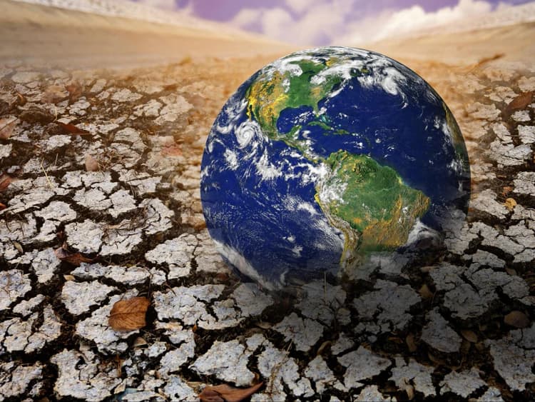 2050年までに1.5兆ドル損失、気候変動による健康被害が招く影響