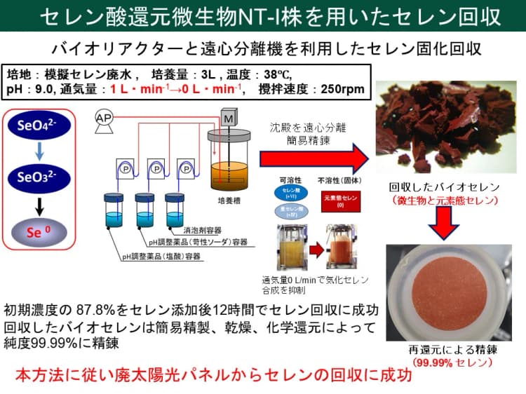 世界初、微生物の力で廃太陽電池からレアメタルを回収 芝浦工大ら