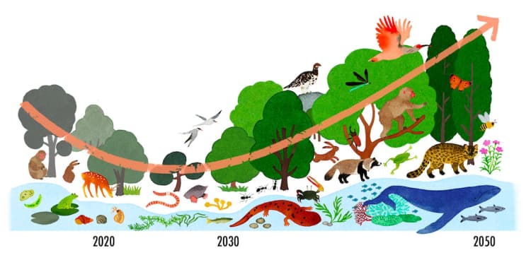 日本の生物多様性、部分的な改善も損失止まらず 有識者会議が警鐘