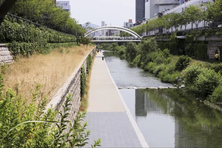 環境省、水辺や里海など良好な環境を活かした地域づくりへ シンポジウム開催