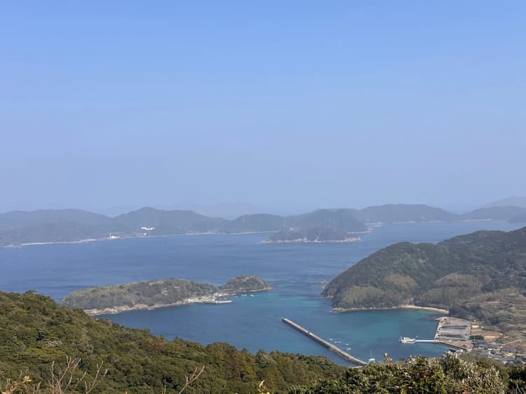 ヤマハ発動機ら4社、五島市の市有林でJVC創出 林業人材育成も