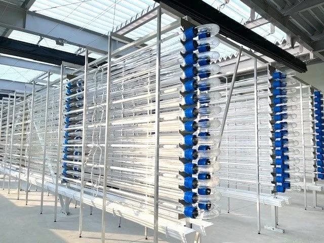 出光興産など、紅色光合成細菌の大量培養技術の確立へ ベンチプラントを新設