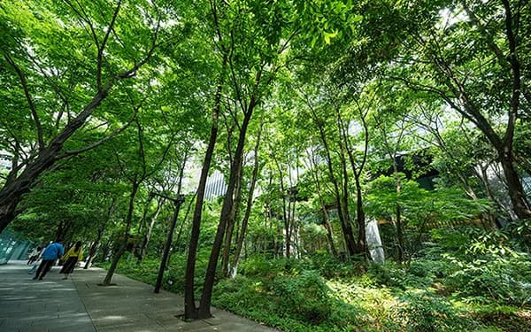 グリーンインフラ大賞決定、「国土交通大臣賞」に東京建物の「大手町の森」など