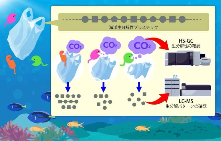 NITE、微生物の海洋生分解性プラ分解を可視化 効率的な分析法を開発