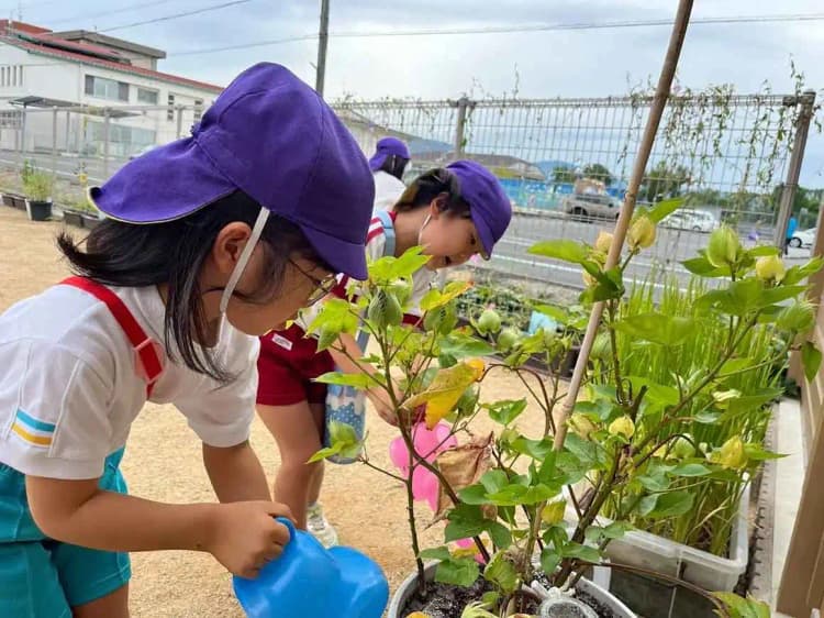 着古した服を地域内で土に還す循環モデル 奈良県内で実証へ 協議会設立