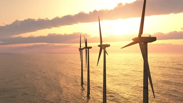 洋上風力発電の環境影響評価を高度化 シンク・ネイチャーらの共同PJ始動