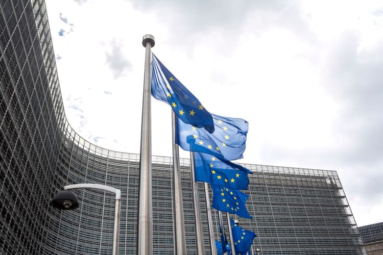 「規制帝国EU」の実態と揺らぎを見極める 地域ごとの規制にも柔軟対応を