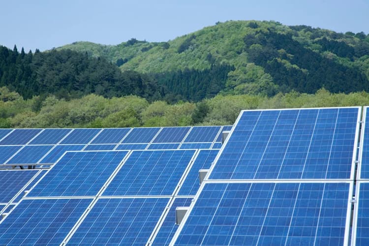 「地域共生できてない再エネはダメ」 グリーン契約法、電力調達基準を改定