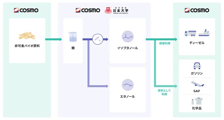コスモエネルギー、非可食バイオ原料からのイソブタノール生産で日大と連携