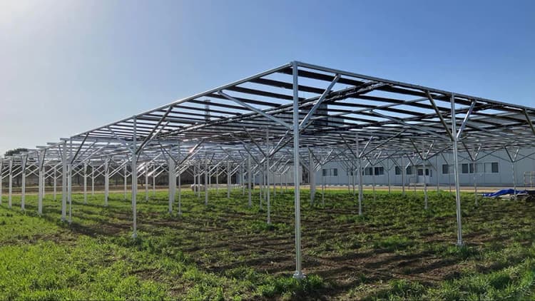 ペロブスカイト太陽電池×水田ソーラーシェアリングの実証開始 積水化学など