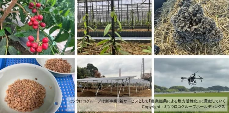 ミツウロコ、さいたま市の補助金でソーラーシェアリング 再エネ電力は地銀へ