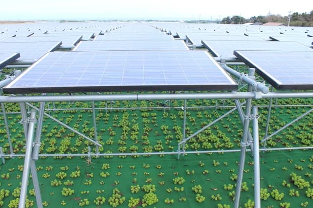 「望ましい営農型太陽光発電」とは 制度見直し控えシンポジウム、9/7開催