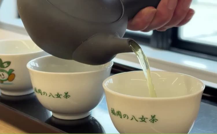 スコープ3調査で判明した「八女茶は中国産煎茶より低環境負荷」という優位性