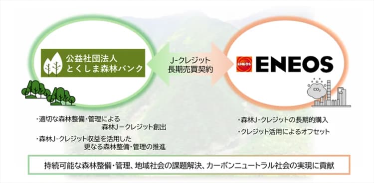 ENEOS、森林由来Jークレジットを長期調達 GHG削減と森林整備へ還元