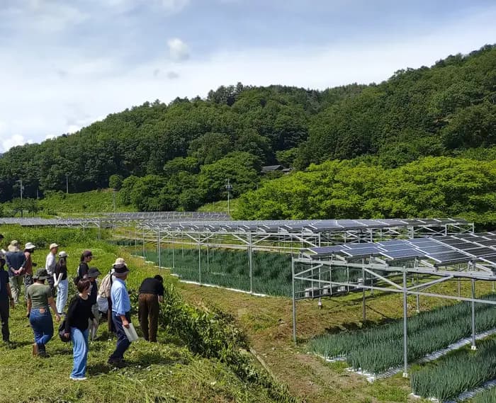 新設「日本気候基金」 ソーラーシェアリング啓発・人材に1000万円助成