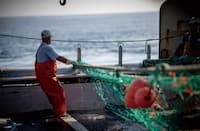 海洋ごみも資源に変える エコアルフが挑む循環型ファッション
