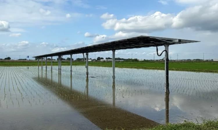 営農型太陽光発電を実証 野村不動産、再エネの自社調達手段を多様化