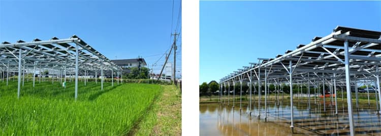分散した耕作放棄地を2MWの営農型太陽光に集約 東急不動産、埼玉2カ所で