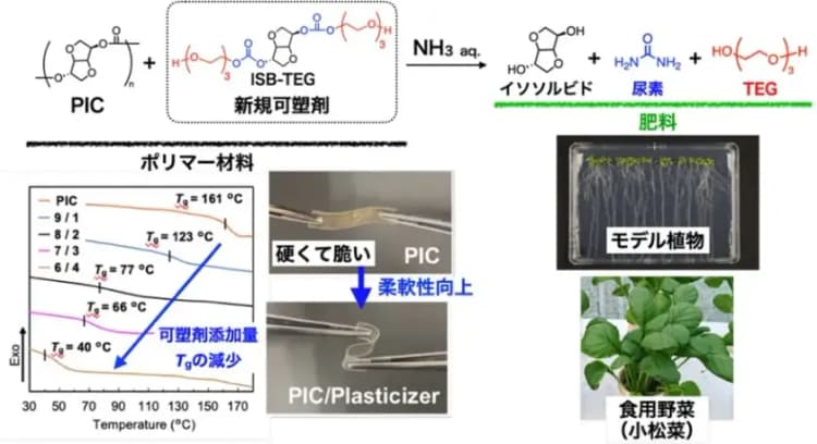 千葉大ら、柔らかさを自在に制御できる「肥料になるプラスチック」を開発